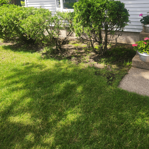 Lawn Care